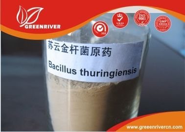 চীন White powder Bacillus thuringiensis Insecticide for lepidopterous larvae control সরবরাহকারী