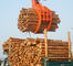 Powerful Excavator Grab Attachment Hydraulic Timber Grab / Excavators Wood Grapple সরবরাহকারী